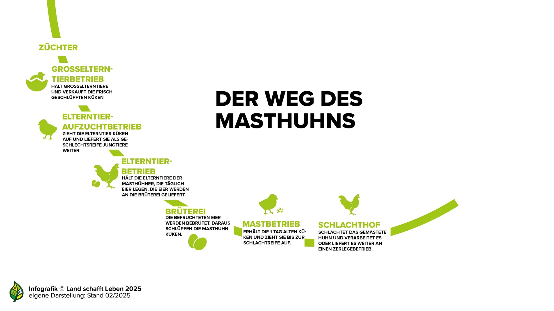 Der Weg des Masthuhns